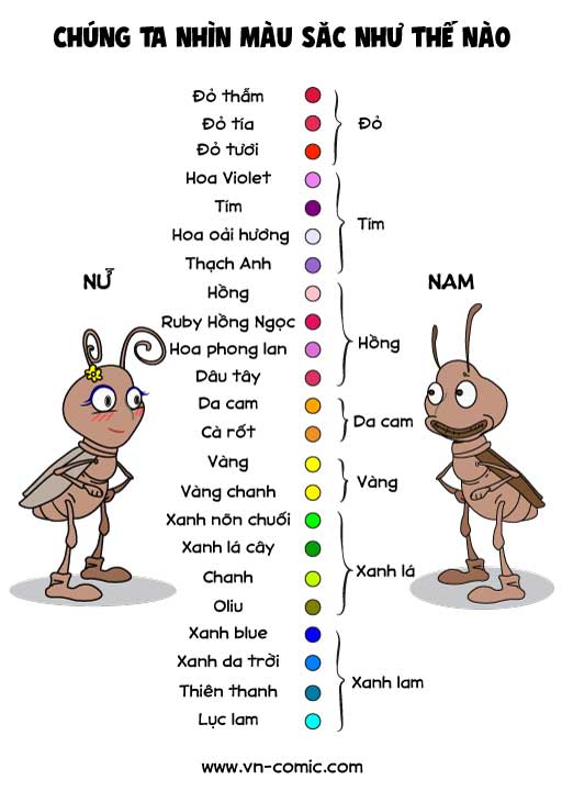 infographic-nam-nu-nhin-mau-sac