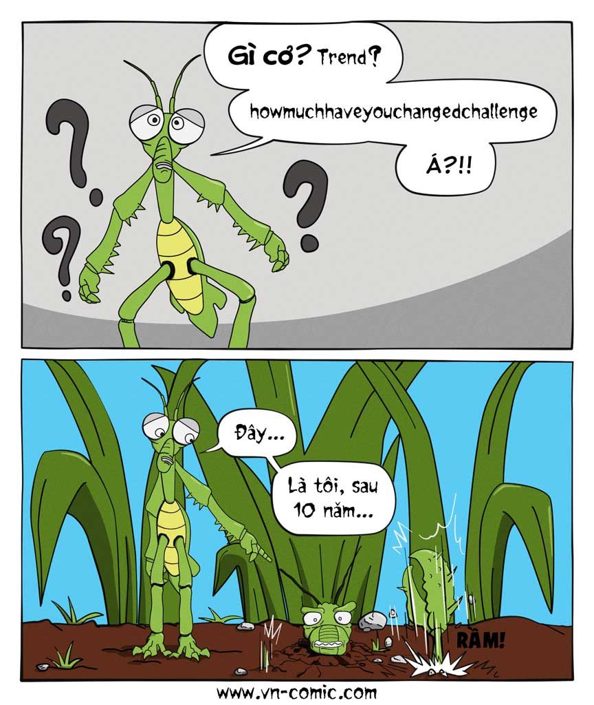 chau-chau-bat-trend-vn-comic