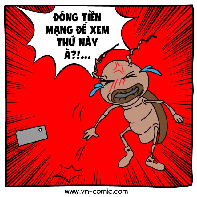 dong-tien-mang