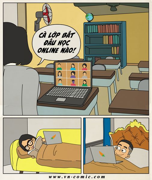 hoc online