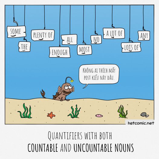 quantifiers - quantifiers with both countable and uncountable nouns vn-comic