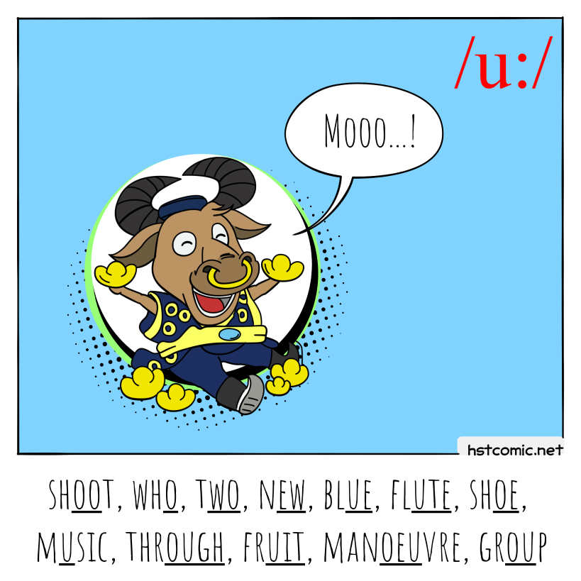 cow sound - moo - shoot